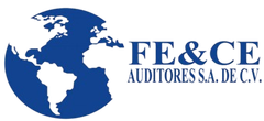 FE&CE Auditores S.A. de C.V.